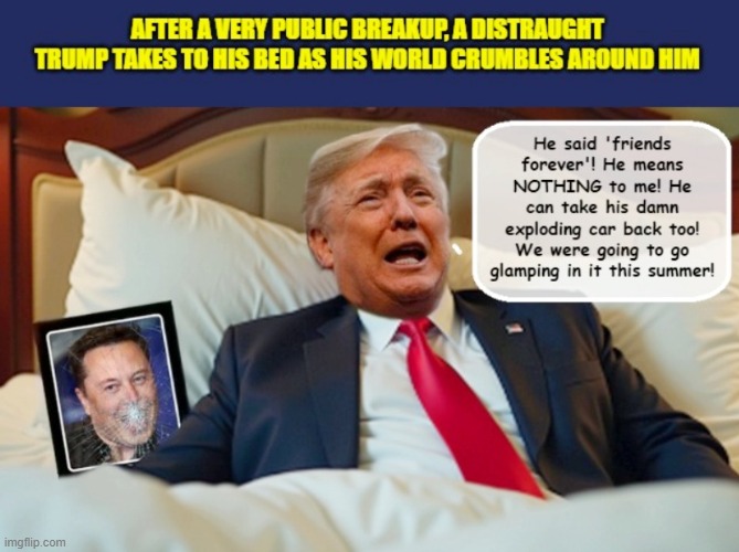 Trump spends his Thursday night eating ice cream, crying and watching "The Way We Were"... | image tagged in impeach trump,donald trump memes,government corruption,trump is a moron,elon musk | made w/ Imgflip meme maker