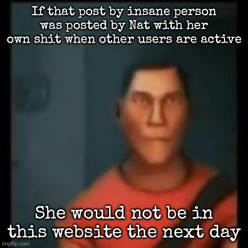 According to thp | If that post by insane person was posted by Nat with her own shit when other users are active; She would not be in this website the next day | image tagged in disappointed scout,msmg | made w/ Imgflip meme maker