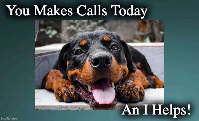 Rottie You Makes Calls | You Makes Calls Today; An I Helps! | image tagged in rottie i helps | made w/ Imgflip meme maker