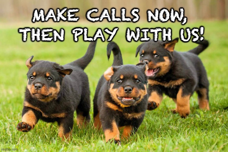 Puppies Call then Play | THEN PLAY WITH US! MAKE CALLS NOW, | image tagged in pups call then play | made w/ Imgflip meme maker