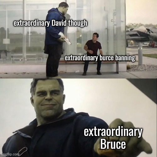 Hulk Taco | extraordinary David though; extraordinary burce banning; extraordinary Bruce | image tagged in hulk taco | made w/ Imgflip meme maker