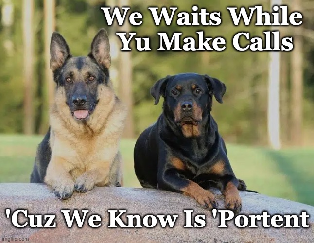 GSD Rottie Wait While Calls | We Waits While 
Yu Make Calls; 'Cuz We Know Is 'Portent | image tagged in gsd rottie wait,we know is portent | made w/ Imgflip meme maker