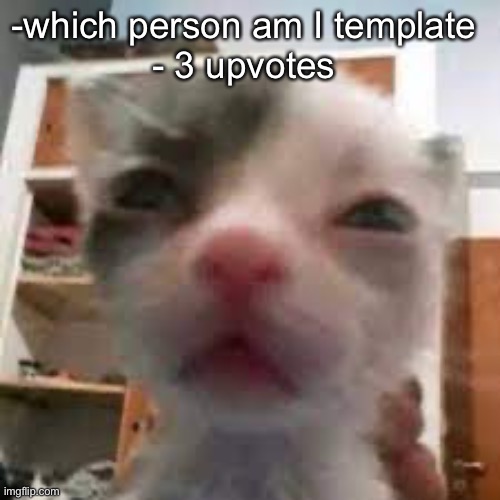 Cat lightskin stare | -which person am I template 
- 3 upvotes | image tagged in cat lightskin stare | made w/ Imgflip meme maker