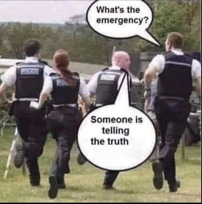 meme police Blank Meme Template