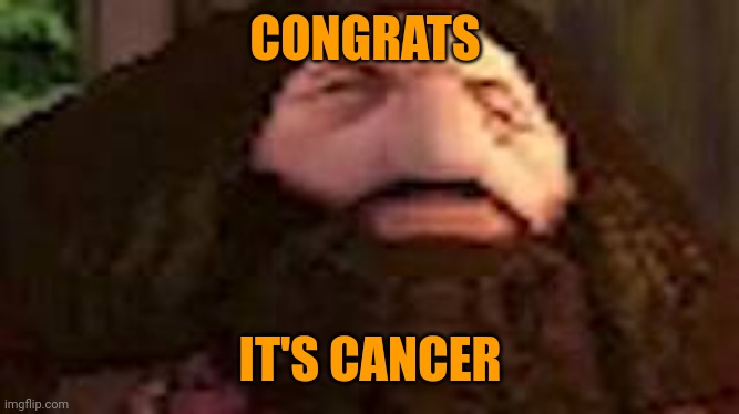 PS1 Hagrid | CONGRATS IT'S CANCER | image tagged in ps1 hagrid | made w/ Imgflip meme maker