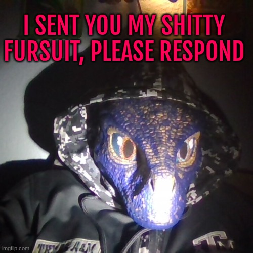 I SENT YOU MY SHITTY FURSUIT, PLEASE RESPOND | made w/ Imgflip meme maker