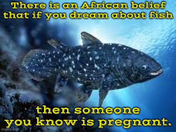 It's a sign of fertility & good luck. | There is an African belief that if you dream about fish; then someone you know is pregnant. | image tagged in smiling fish,tradition,culture | made w/ Imgflip meme maker