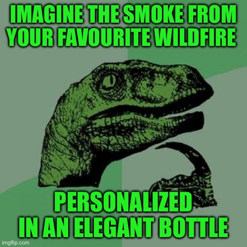 Philosoraptor | IMAGINE THE SMOKE FROM YOUR FAVOURITE WILDFIRE; PERSONALIZED IN AN ELEGANT BOTTLE | image tagged in memes,philosoraptor | made w/ Imgflip meme maker