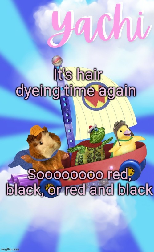 Yachis wonder pet temp (thank you Disco) | It's hair dyeing time again; Soooooooo red, black, or red and black | image tagged in yachis wonder pet temp thank you disco | made w/ Imgflip meme maker