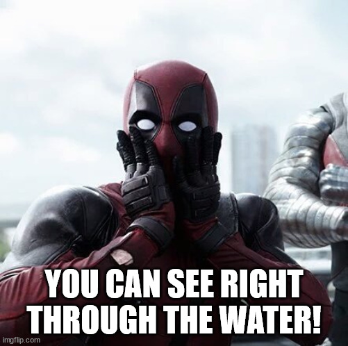 Deadpool Surprised Meme | YOU CAN SEE RIGHT THROUGH THE WATER! | image tagged in memes,deadpool surprised | made w/ Imgflip meme maker