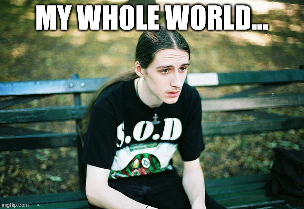 First World Metal Problems | MY WHOLE WORLD... | image tagged in first world metal problems | made w/ Imgflip meme maker