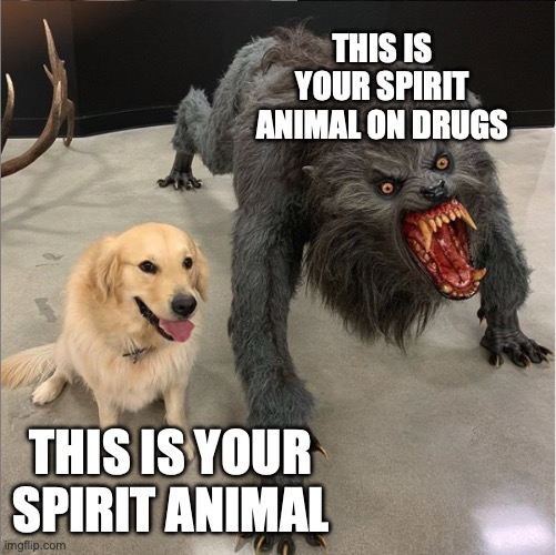 Spirit animal on drugs | THIS IS YOUR SPIRIT ANIMAL ON DRUGS; THIS IS YOUR SPIRIT ANIMAL | image tagged in dog vs werewolf | made w/ Imgflip meme maker
