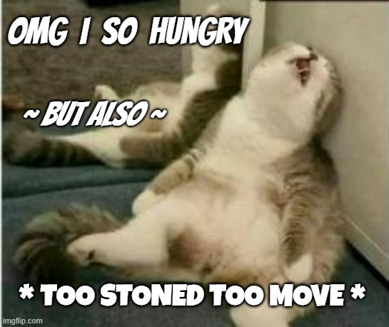 too stoned to move | OMG  I  SO  HUNGRY; ~ BUT ALSO ~; * TOO STONED TOO MOVE * | image tagged in omg i just can't | made w/ Imgflip meme maker