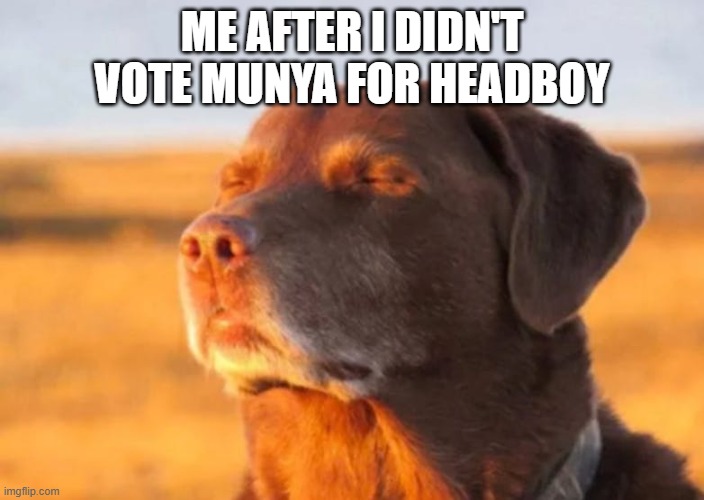 Dog smiling with eyes closed | ME AFTER I DIDN'T VOTE MUNYA FOR HEADBOY | image tagged in dog smiling with eyes closed | made w/ Imgflip meme maker