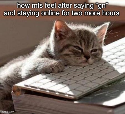 tired cat | how mfs feel after saying “gn” and staying online for two more hours | image tagged in tired cat | made w/ Imgflip meme maker