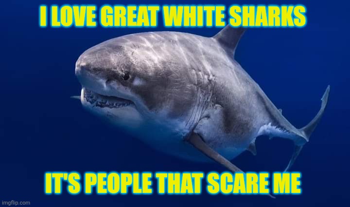 I Love Great White Sharks! humans? NO WAY! | I LOVE GREAT WHITE SHARKS; IT'S PEOPLE THAT SCARE ME | image tagged in sharks | made w/ Imgflip meme maker
