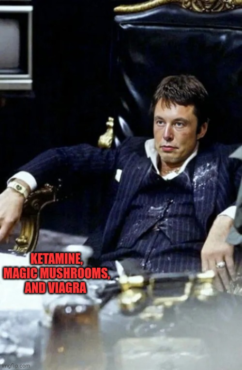 Elonface | KETAMINE, MAGIC MUSHROOMS, AND VIAGRA | image tagged in scarface,cocaine,elon musk | made w/ Imgflip meme maker