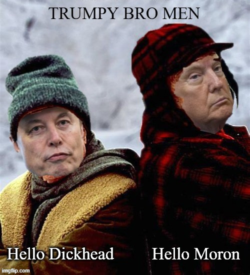 Trumpy Bro Men | Hello Dickhead         Hello Moron | image tagged in trumpy bro men,the waste and fraud couple,bad actors,x spacex,tesler trashed,maga madness | made w/ Imgflip meme maker