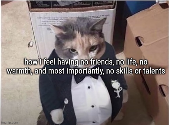 one irl friend. Two strangers online. | how I feel having no friends, no life, no warmth, and most importantly, no skills or talents | image tagged in fancy cat | made w/ Imgflip meme maker