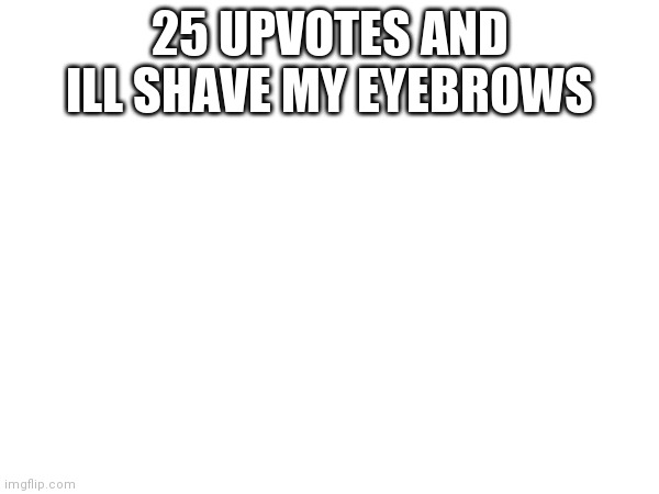 i had to put a ran dom tag | 25 UPVOTES AND ILL SHAVE MY EYEBROWS | image tagged in boardroom meeting suggestion | made w/ Imgflip meme maker