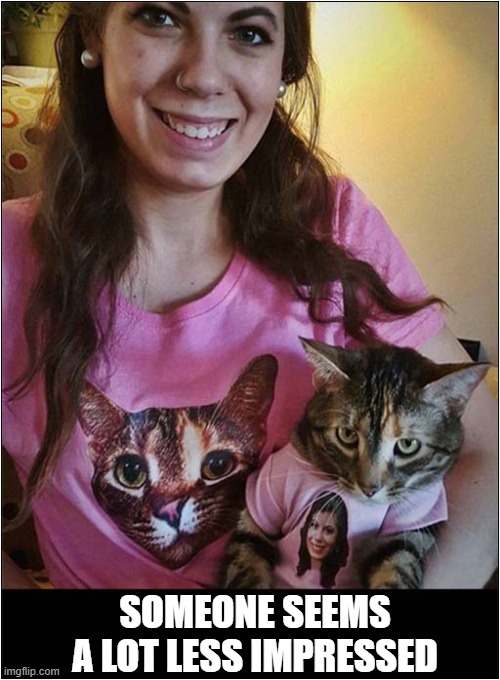 Matching Tee Shirts ... How Sweet ! | SOMEONE SEEMS A LOT LESS IMPRESSED | image tagged in cats,matching,tee shirts | made w/ Imgflip meme maker