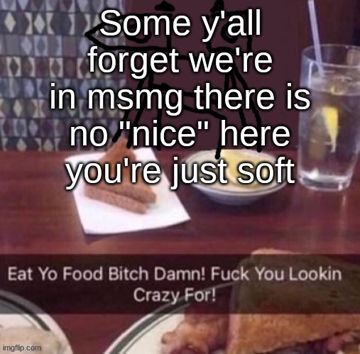 Eat yo food bitch damn | Some y'all forget we're in msmg there is no "nice" here you're just soft | image tagged in eat yo food bitch damn | made w/ Imgflip meme maker