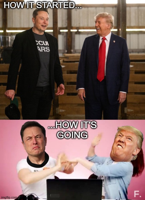 "Natural outcomes 'twixt catty b----es" *OR* "I mean... let's be honest -we all knew this was coming." | HOW IT STARTED... ...HOW IT'S
GOING | image tagged in elon musk donald trump jd vance,slap fight | made w/ Imgflip meme maker