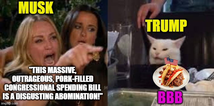 Redneck Tacos | MUSK; TRUMP; "THIS MASSIVE, OUTRAGEOUS, PORK-FILLED CONGRESSIONAL SPENDING BILL IS A DISGUSTING ABOMINATION!"; BBB | image tagged in big beautiful bill,trump v musk,disgusting abomination,pork-filled,slaw and order,can we get the bill please | made w/ Imgflip meme maker