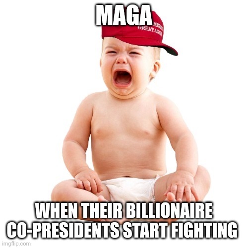 Baby MAGA | MAGA; WHEN THEIR BILLIONAIRE CO-PRESIDENTS START FIGHTING | image tagged in baby maga | made w/ Imgflip meme maker