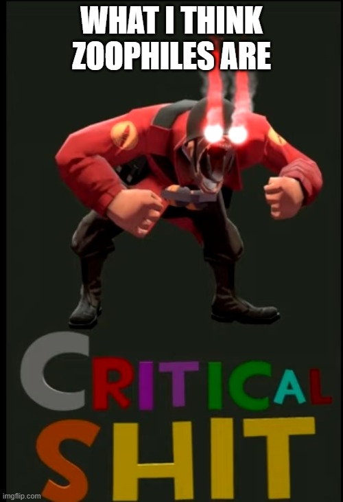 stop zoophile's | WHAT I THINK ZOOPHILES ARE | image tagged in tf2 | made w/ Imgflip meme maker