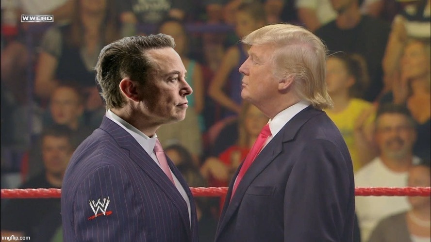 WWF | image tagged in musk vs elon,donald trump,trump,elon musk,wwf | made w/ Imgflip meme maker