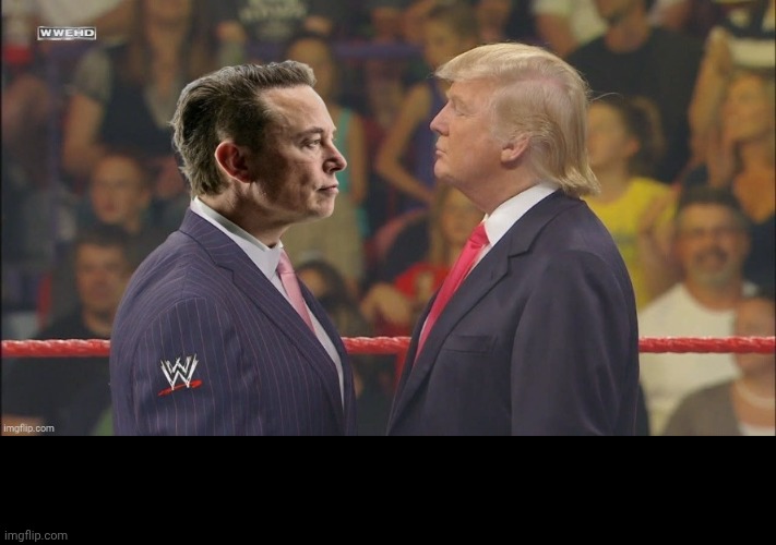 Squared Circle | image tagged in musk vs elon,wwf,wwe,vince mcmahon,trump,musk | made w/ Imgflip meme maker
