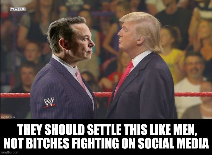 In this corner... | THEY SHOULD SETTLE THIS LIKE MEN, NOT BITCHES FIGHTING ON SOCIAL MEDIA | image tagged in musk vs elon,wwe,wwf,donald trump,elon musk,fight | made w/ Imgflip meme maker
