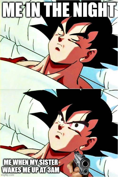 sleep | ME IN THE NIGHT; ME WHEN MY SISTER WAKES ME UP AT 3AM | image tagged in goku sleeping wake up | made w/ Imgflip meme maker
