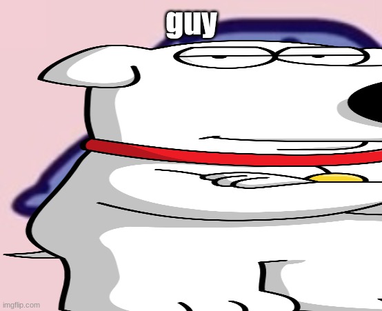 dud 5 | guy | image tagged in dud 5 | made w/ Imgflip meme maker