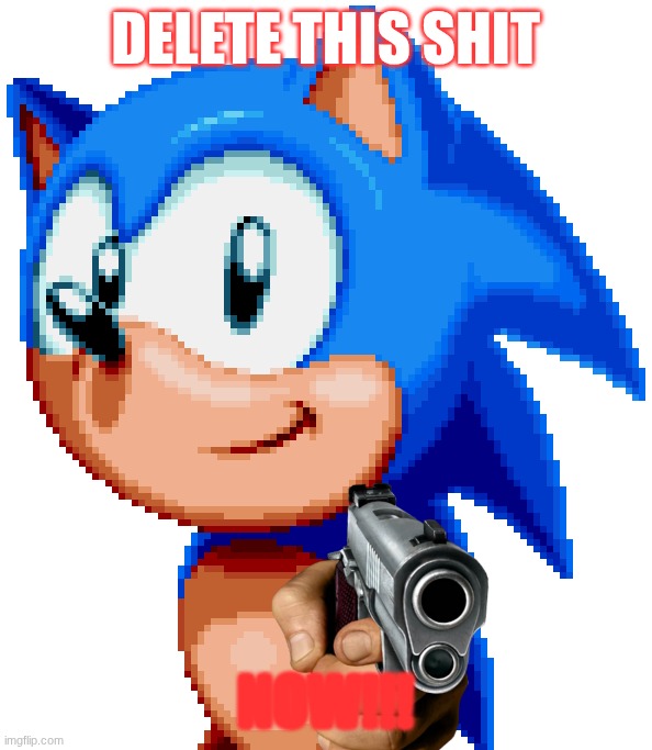 DELETE THIS SHIT NOW!!! | image tagged in sonic with a gun | made w/ Imgflip meme maker