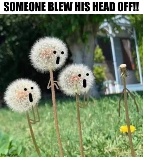Someone Blew His Head Off!! | SOMEONE BLEW HIS HEAD OFF!! | image tagged in chrisjoines1 | made w/ Imgflip meme maker