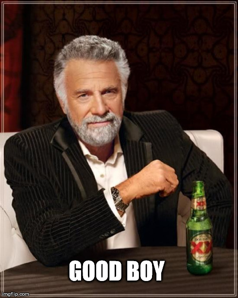 The Most Interesting Man In The World Meme | GOOD BOY | image tagged in memes,the most interesting man in the world | made w/ Imgflip meme maker