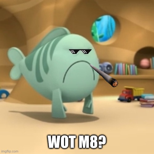 Mr. Grumpfish | WOT M8? | image tagged in mr grumpfish | made w/ Imgflip meme maker