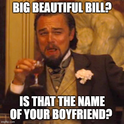 lul | BIG BEAUTIFUL BILL? IS THAT THE NAME OF YOUR BOYFRIEND? | image tagged in memes,laughing leo | made w/ Imgflip meme maker
