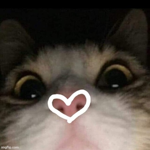Love u | image tagged in love u | made w/ Imgflip meme maker