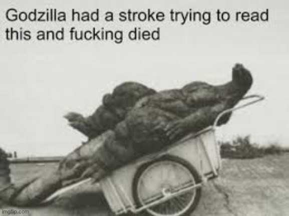 godzilla had a stroke trying to read this and he fucking died | image tagged in godzilla had a stroke trying to read this and he fucking died | made w/ Imgflip meme maker