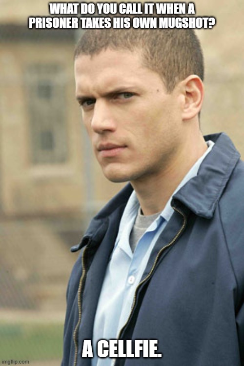 Daily Bad Dad Joke June 6,2025 | WHAT DO YOU CALL IT WHEN A PRISONER TAKES HIS OWN MUGSHOT? A CELLFIE. | image tagged in prison break michael schofield | made w/ Imgflip meme maker