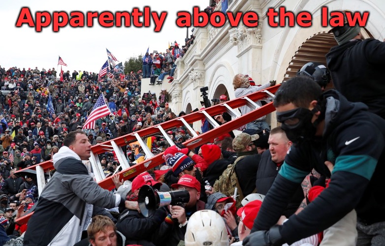 Qanon - Insurrection - Trump riot - sedition | Apparently above the law | image tagged in qanon - insurrection - trump riot - sedition | made w/ Imgflip meme maker