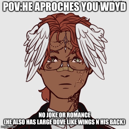 I'm running out of ideas....plz help also dead stream? | POV:HE APROCHES YOU WDYD; NO JOKE OR ROMANCE
(HE ALSO HAS LARGE DOVE LIKE WINGS N HIS BACK) | image tagged in enzo angel form | made w/ Imgflip meme maker