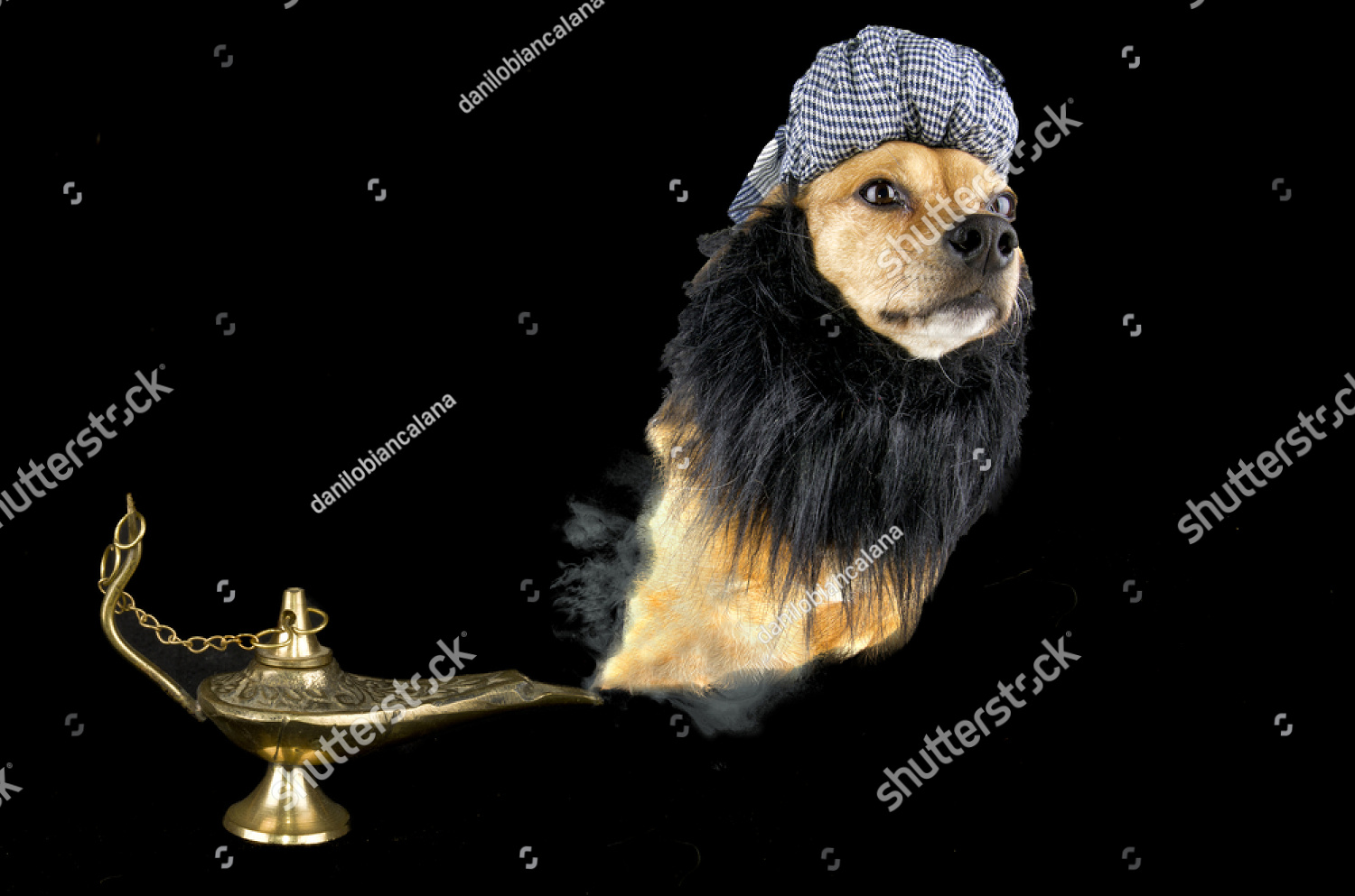 Dog Genie Blank Meme Template