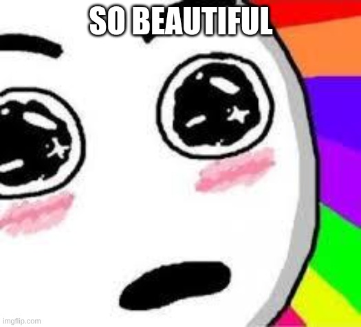 SO BEAUTIFUL | image tagged in so beautiful | made w/ Imgflip meme maker
