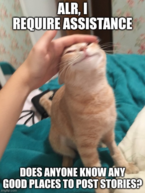 I need help, I want more attention for my stories plz | ALR, I REQUIRE ASSISTANCE; DOES ANYONE KNOW ANY GOOD PLACES TO POST STORIES? | image tagged in cat pat | made w/ Imgflip meme maker