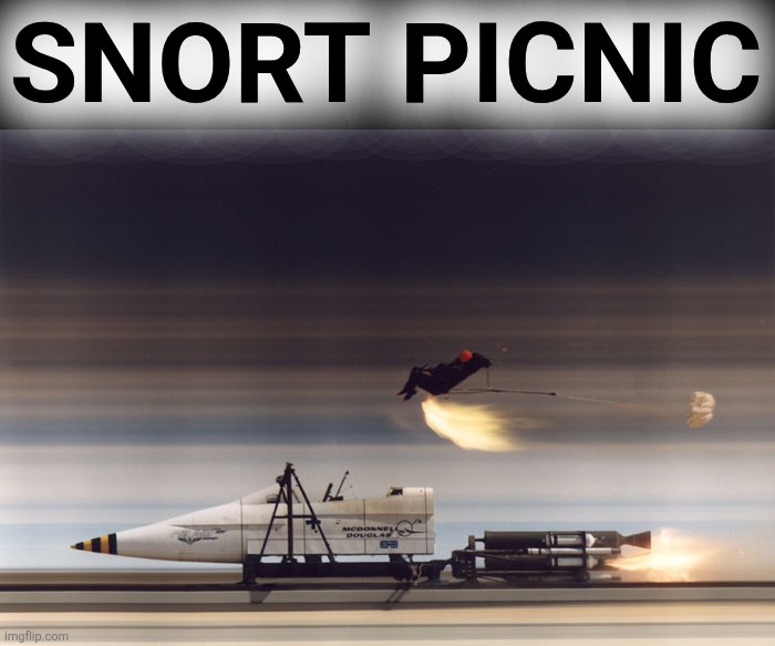 Rocket Sled | SNORT PICNIC | image tagged in rocket sled | made w/ Imgflip meme maker