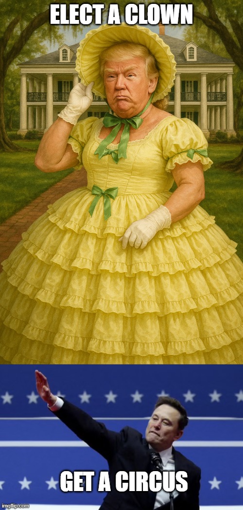 Taco v. Drug addict | ELECT A CLOWN; GET A CIRCUS | image tagged in taco belle,nazi elon | made w/ Imgflip meme maker